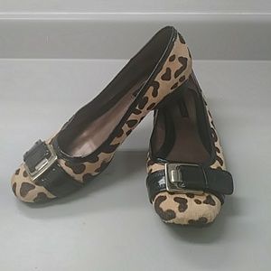 Cheetah flats